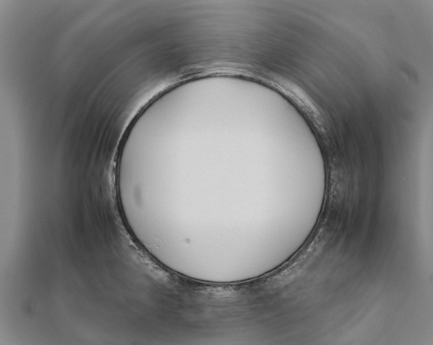 X0000111531190200908041258