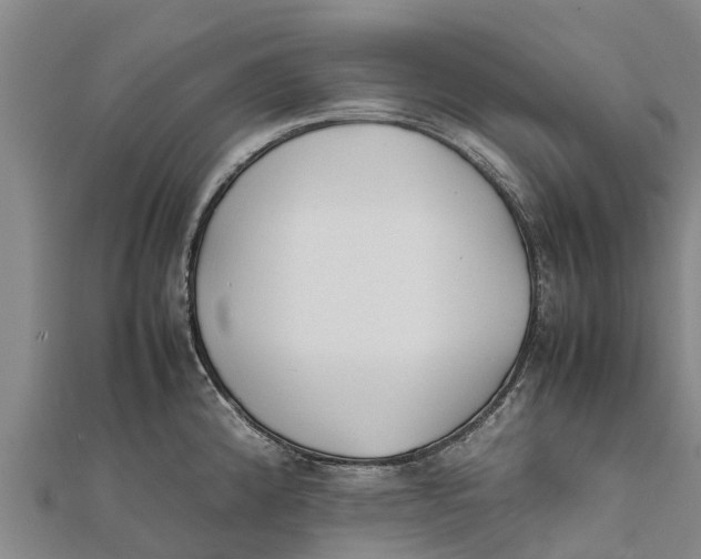 X0000111531192200908041258