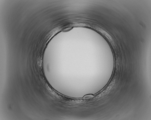 X0000111531193200908041258