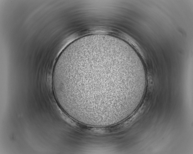 X0000111531194200908041258