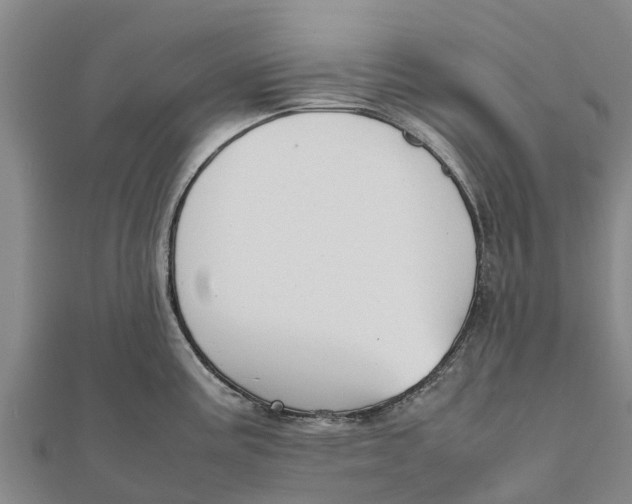 X0000111531195200908041258