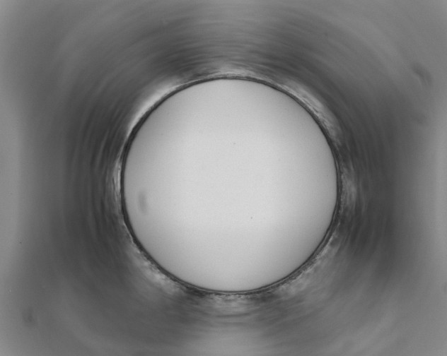 X0000111531198200908041258