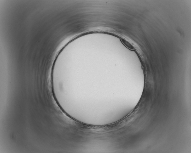 X0000111531199200908041258