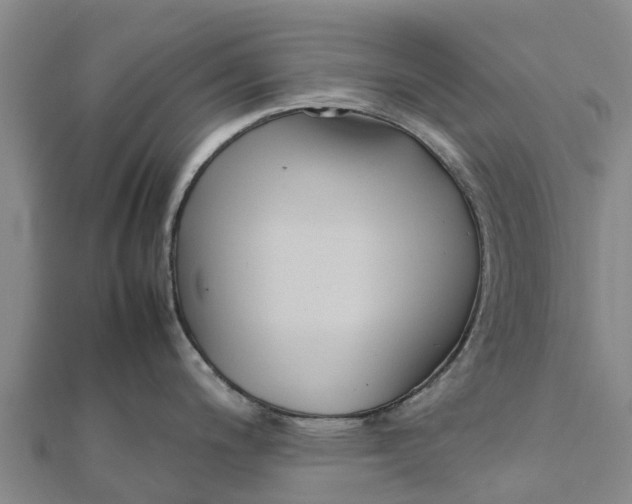 X0000111531200200908041258