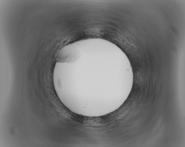 X0000111531201200908041257