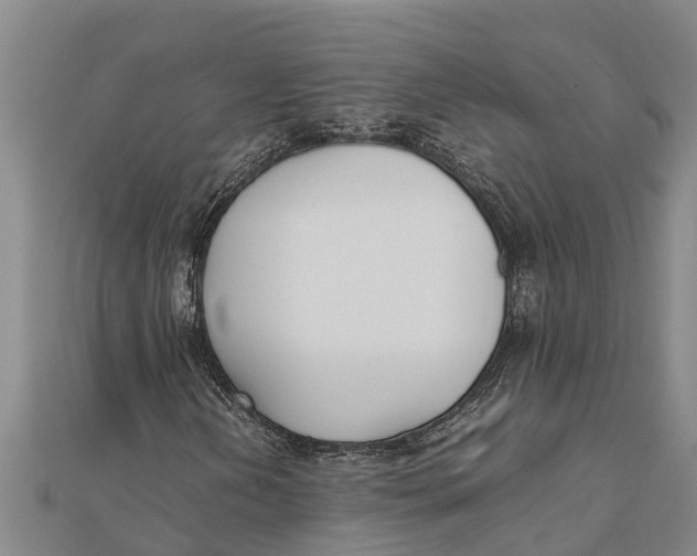 X0000111531202200908041257