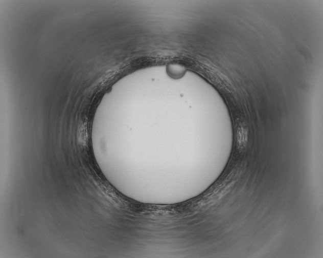 X0000111531204200908041258