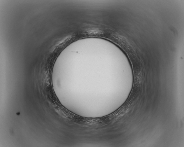 X0000111531205200908041258