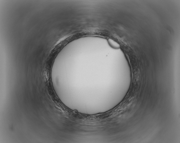 X0000111531206200908041258