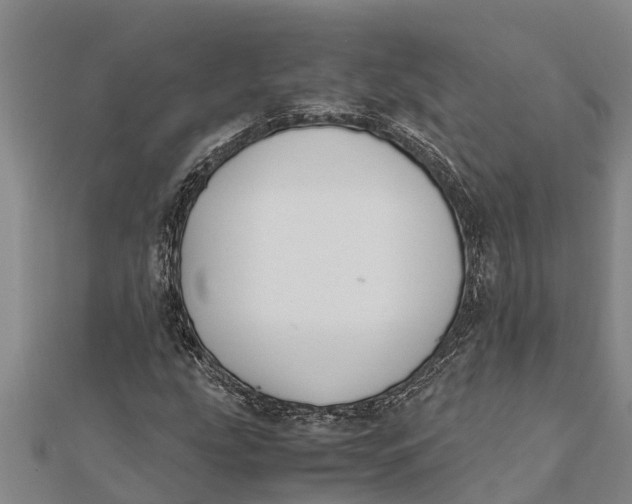 X0000111531207200908041258