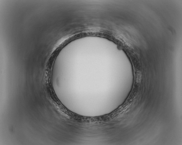 X0000111531208200908041258