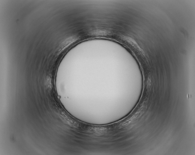 X0000111531209200908041258