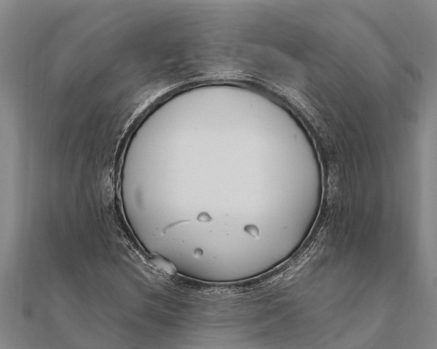 X0000111531212200908041258