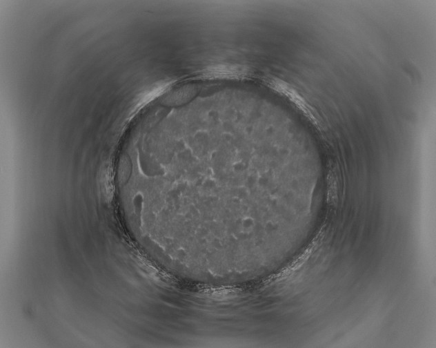 X0000111531213200908041258