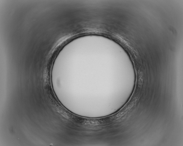 X0000111531215200908041258