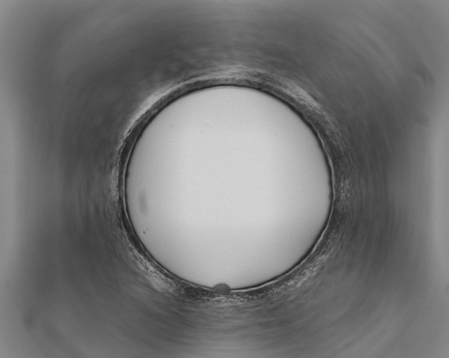 X0000111531216200908041258