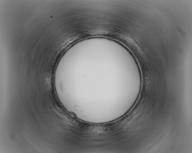 X0000111531217200908041258