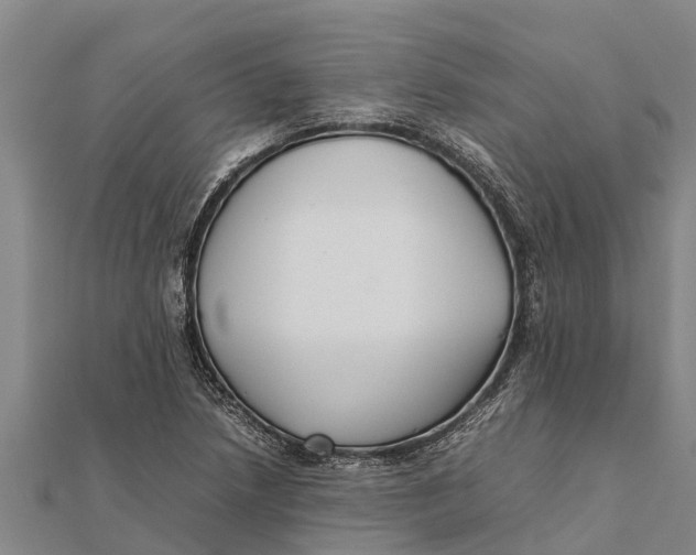 X0000111531218200908041258