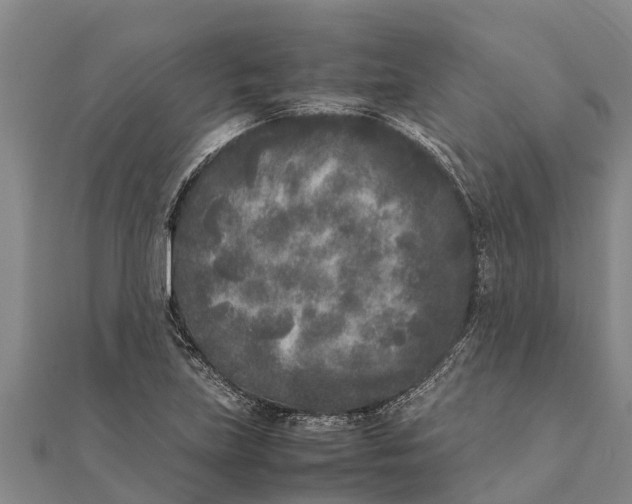 X0000111531219200908041258