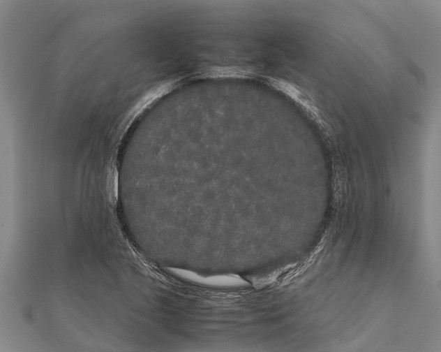 X0000111531221200908041258