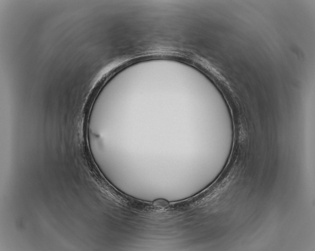 X0000111531222200908041258