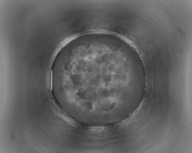 X0000111531223200908041258