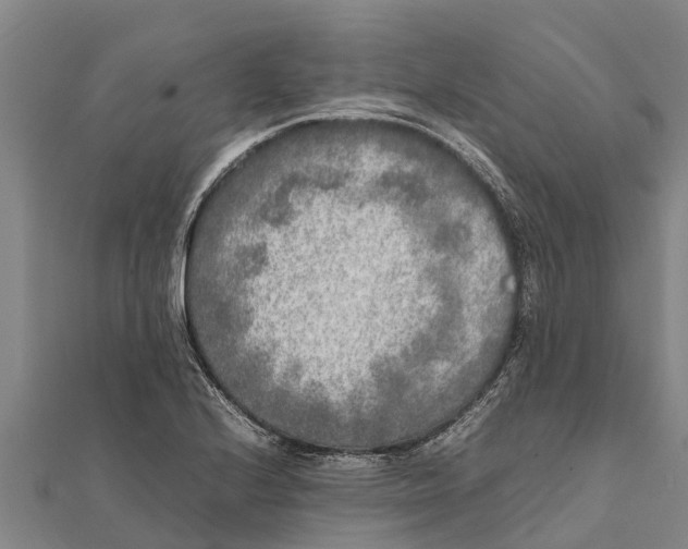 X0000111531224200908041258