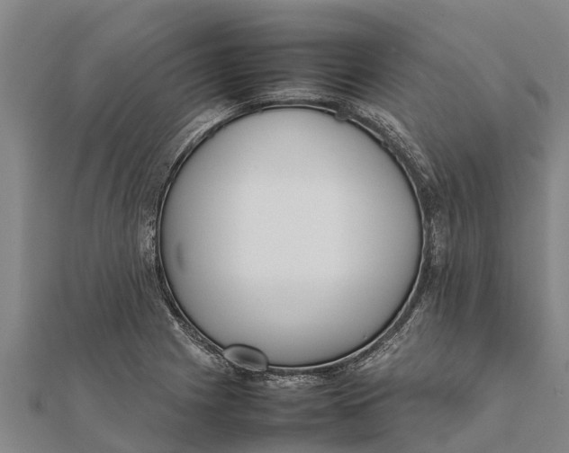 X0000111531225200908041258