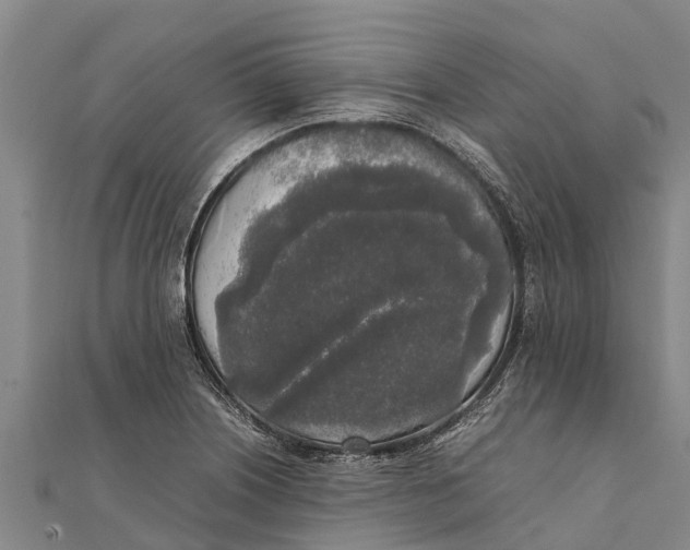 X0000111531226200908041258