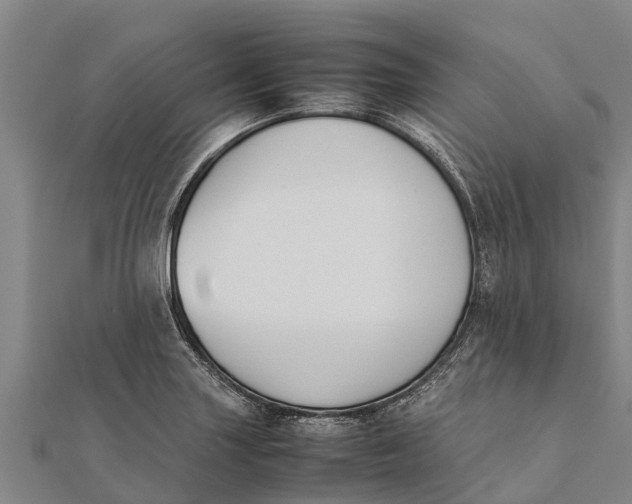 X0000111531227200908041258