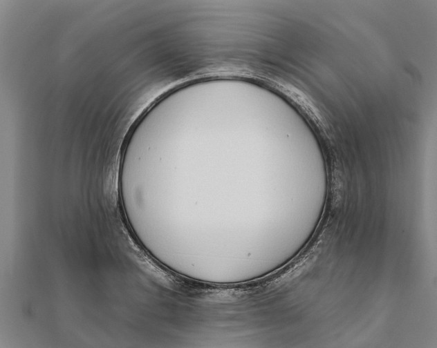 X0000111531228200908041258