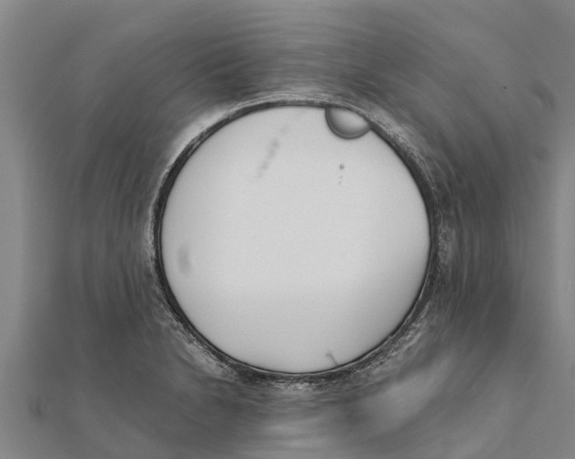 X0000111531230200908041258