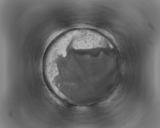 X0000111531231200908041258