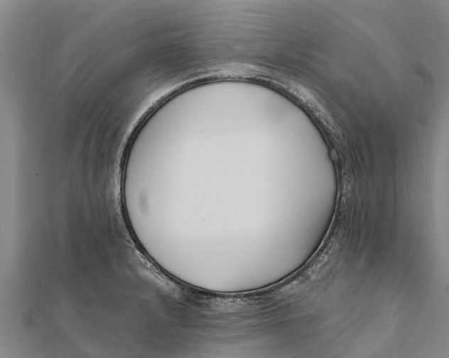 X0000111531232200908041258