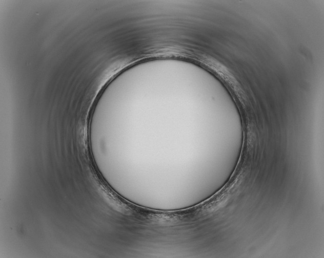 X0000111531234200908041258