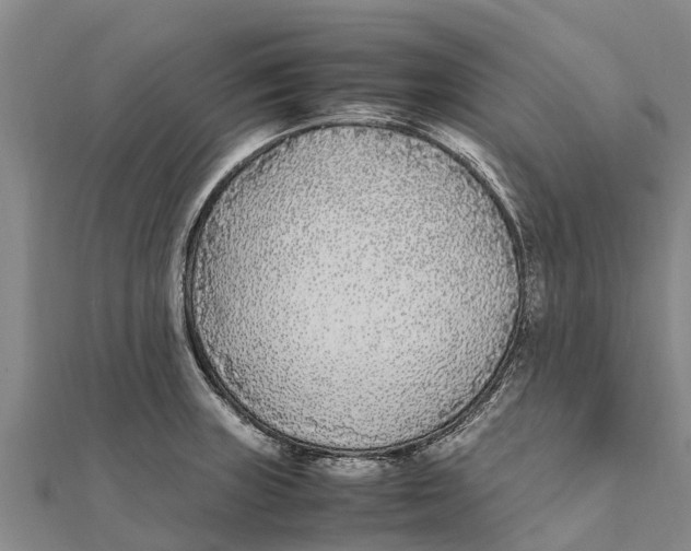 X0000111531235200908041258