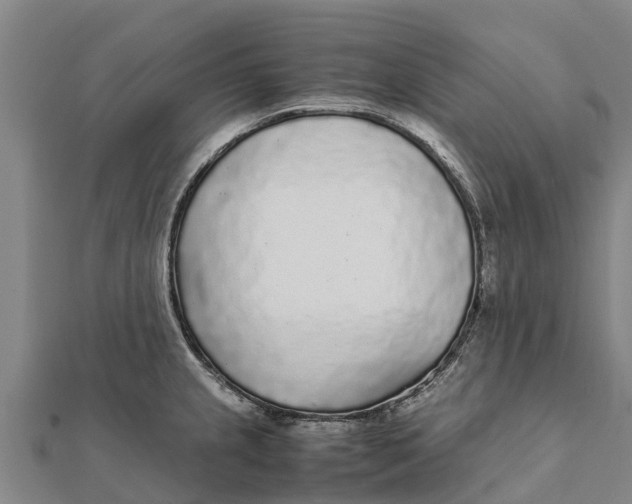 X0000111531237200908041258