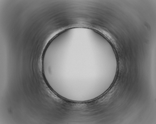 X0000111531238200908041258