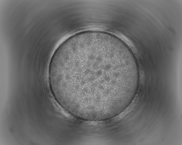 X0000111531240200908041258