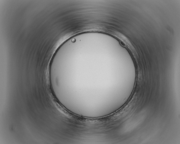 X0000111531242200908041258