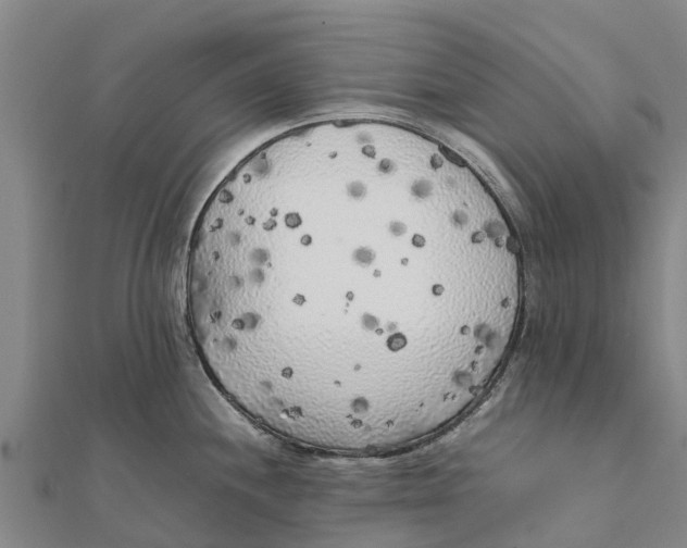 X0000111531244200908041258