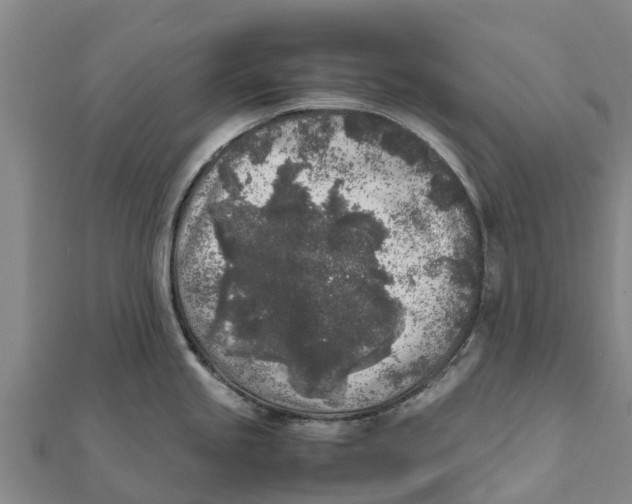 X0000111531245200908041258