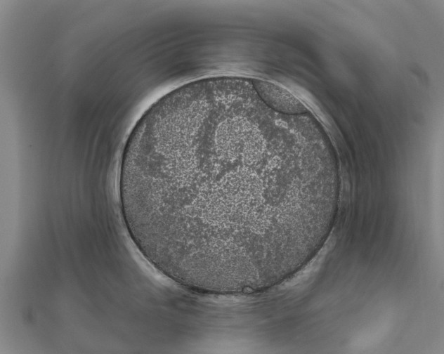 X0000111531246200908041258