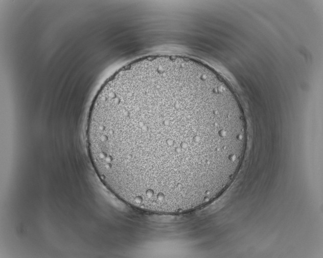 X0000111531248200908041258