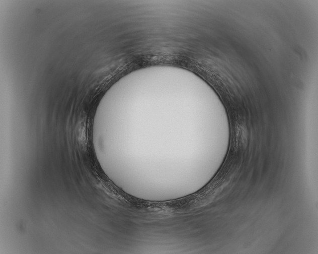 X0000111531250200908041257