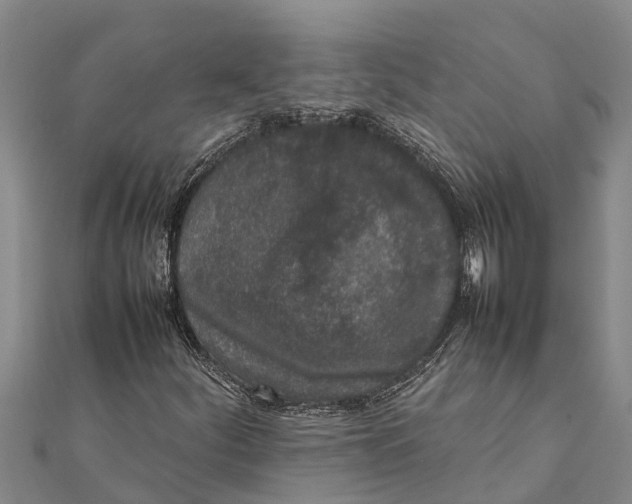 X0000111531252200908041257