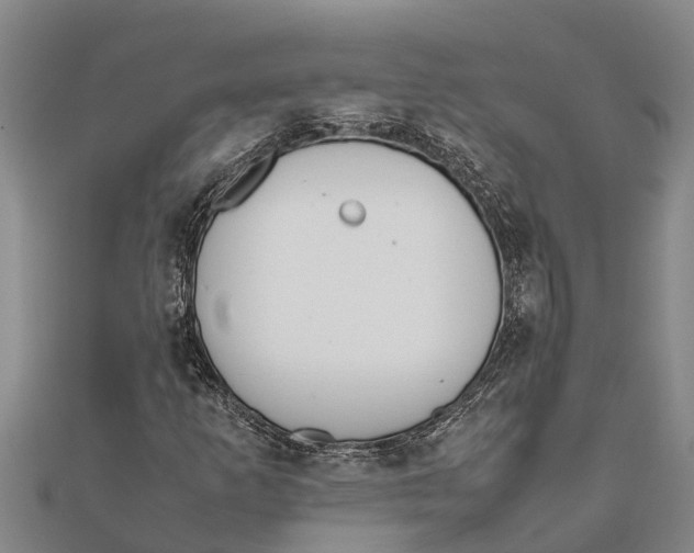 X0000111531253200908041257