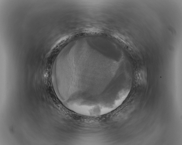 X0000111531254200908041257