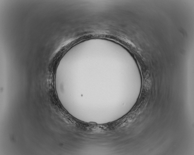 X0000111531255200908041257