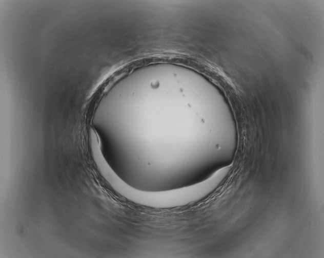 X0000111531256200908041257